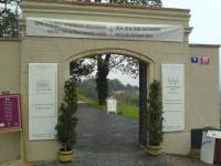 St. Vaclavs vingård på Praha-borgen