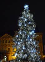 juletre 2008 på Gamle bytorget